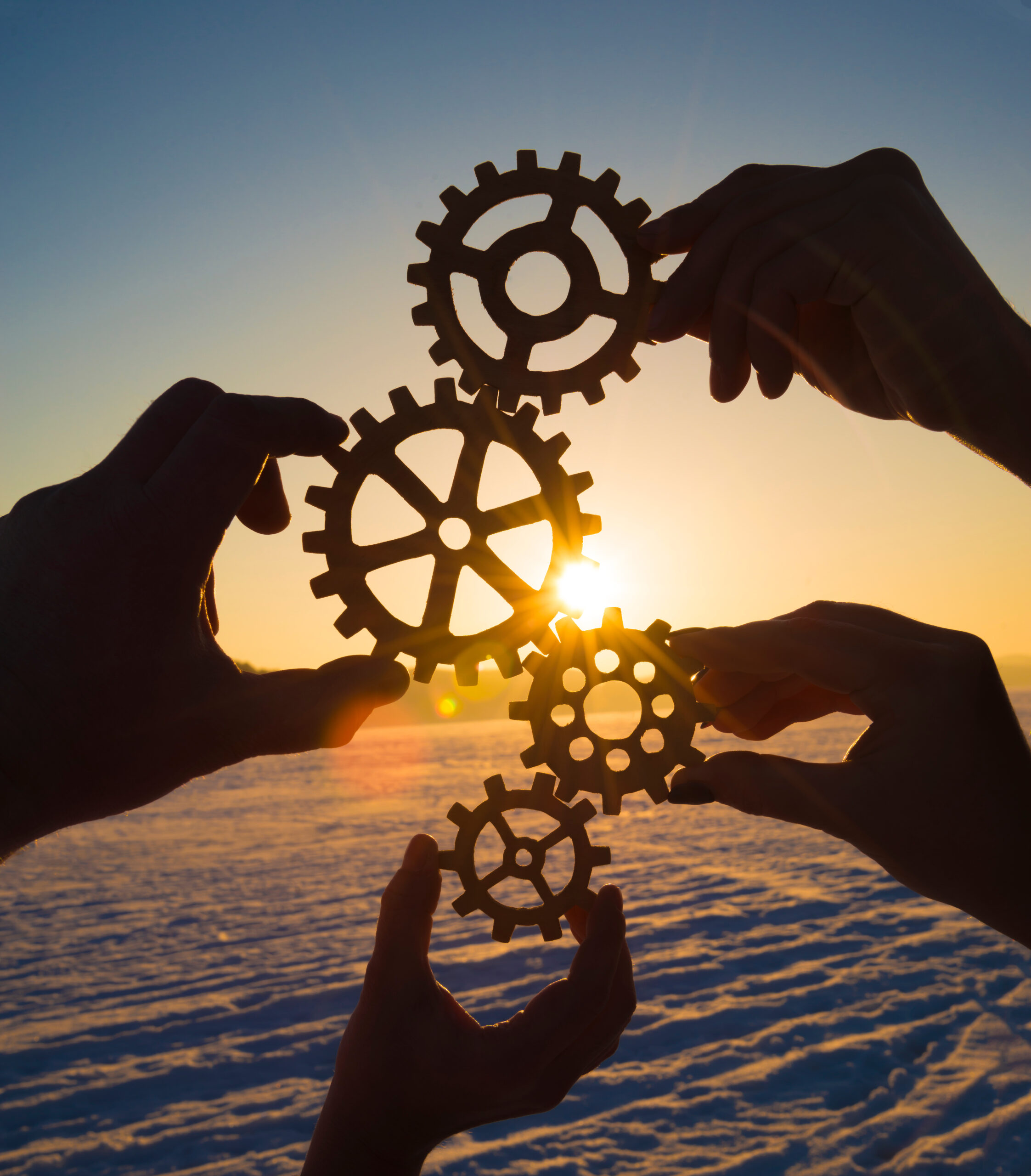Four hands collect the gear from the gears of the details of the